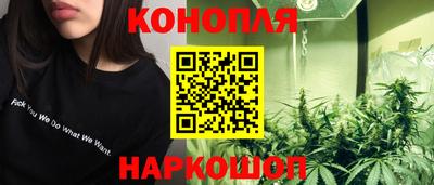a pvp Гагарин