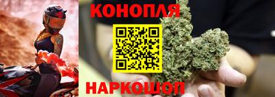 тгк Гатчина